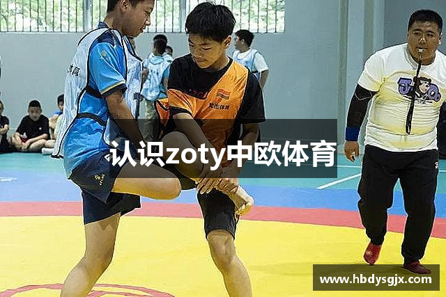 认识zoty中欧体育